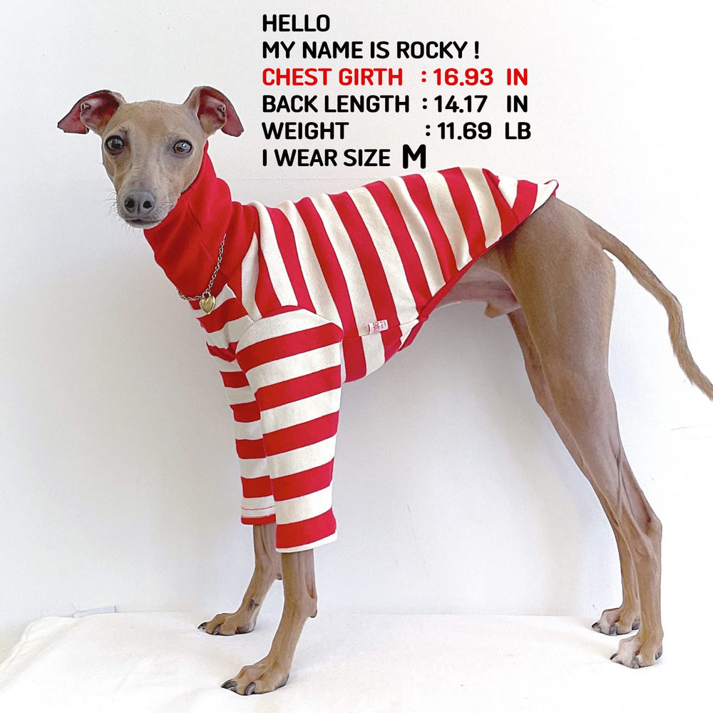 Doggystar T-shirt lévrier italien et whippet, vue arrière, rayures rouges et ivoire.