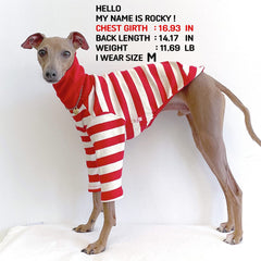 Doggystar T-shirt lévrier italien et whippet, vue arrière, rayures rouges et ivoire.