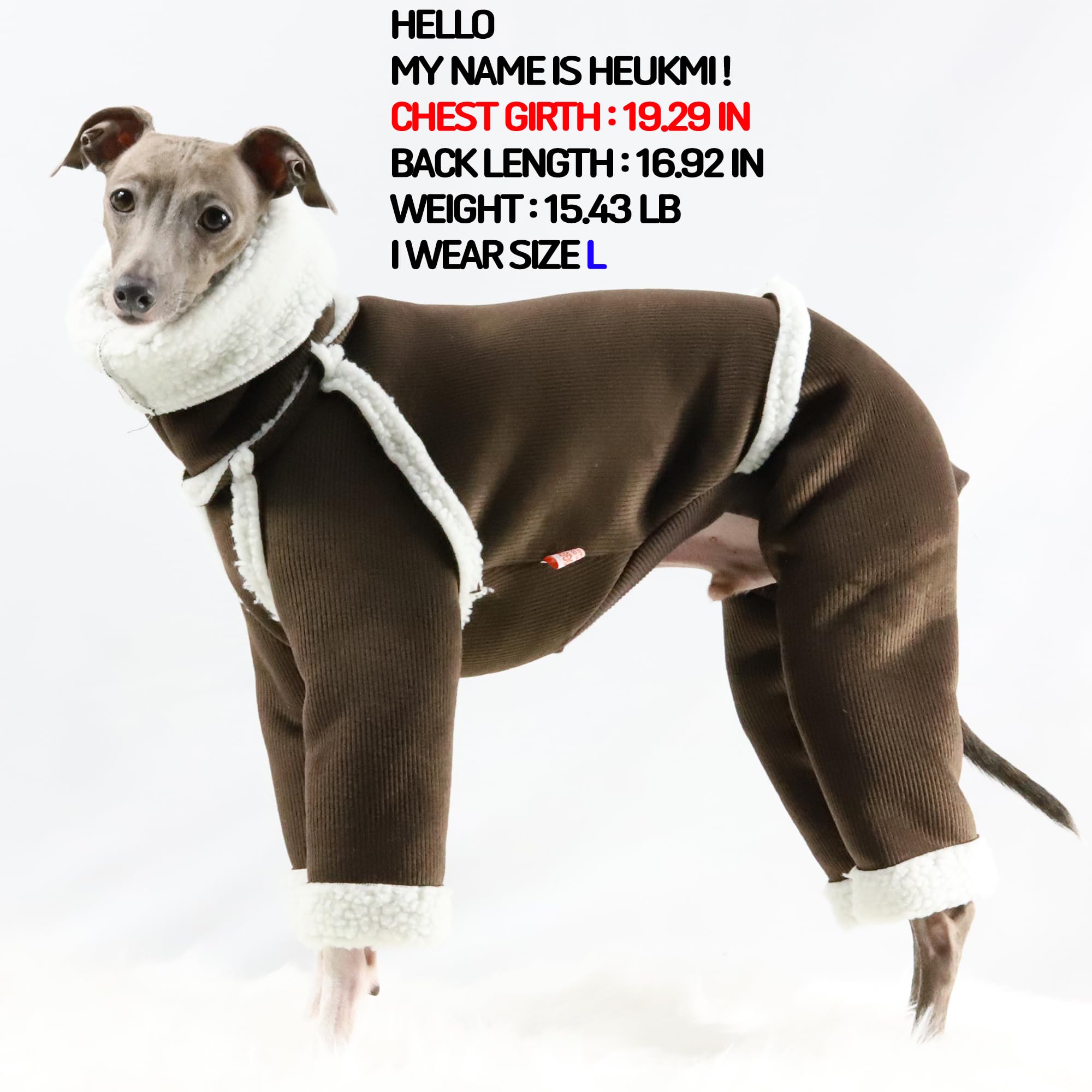 Doggystar turtleneck iggy, col montant pour un look cocooning