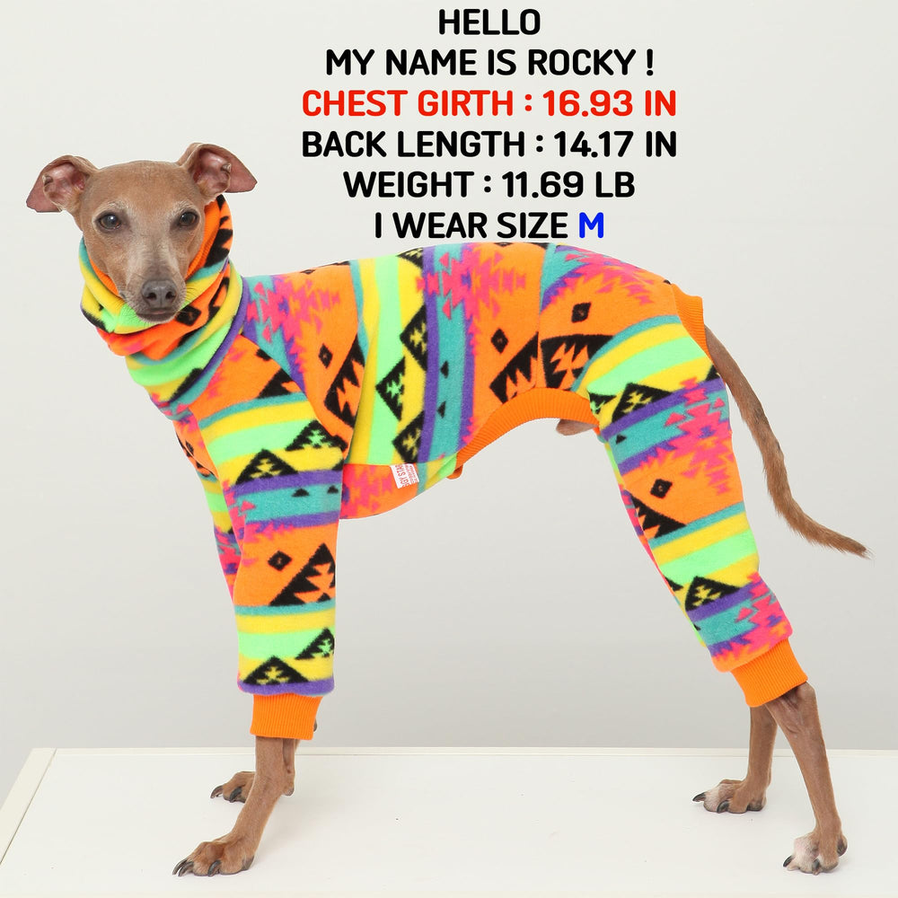 Doggystar turtleneck pour iggy, col haut et chaleur douce.