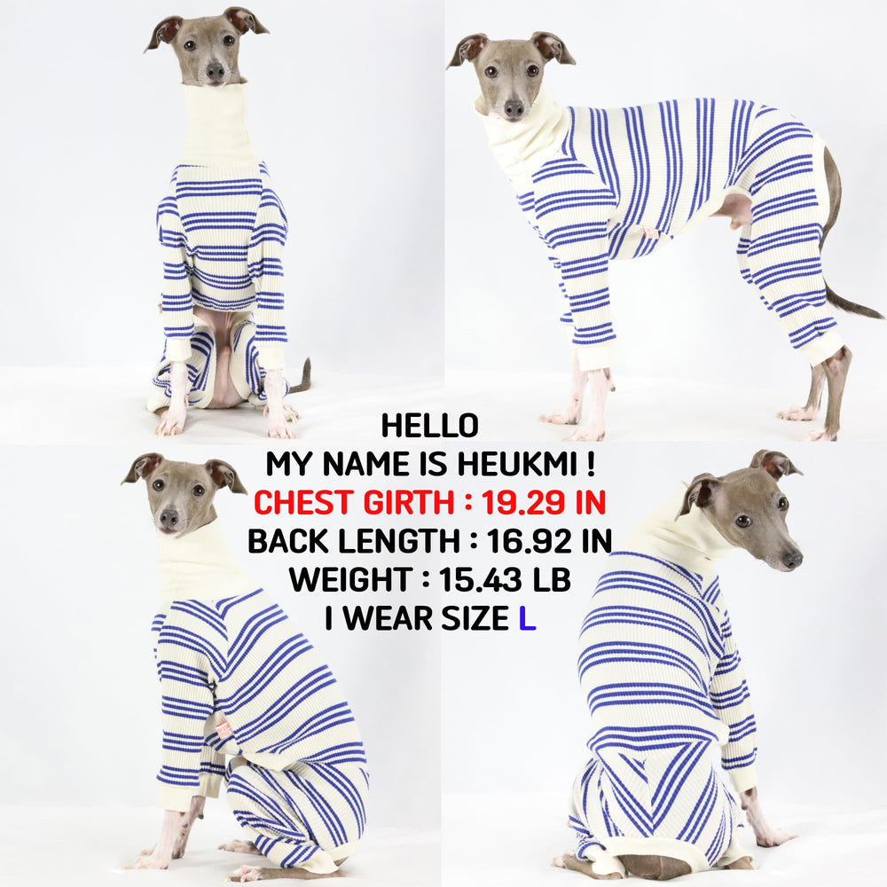 Doggystar vêtement chien taille 3XL, ajustement confortable.