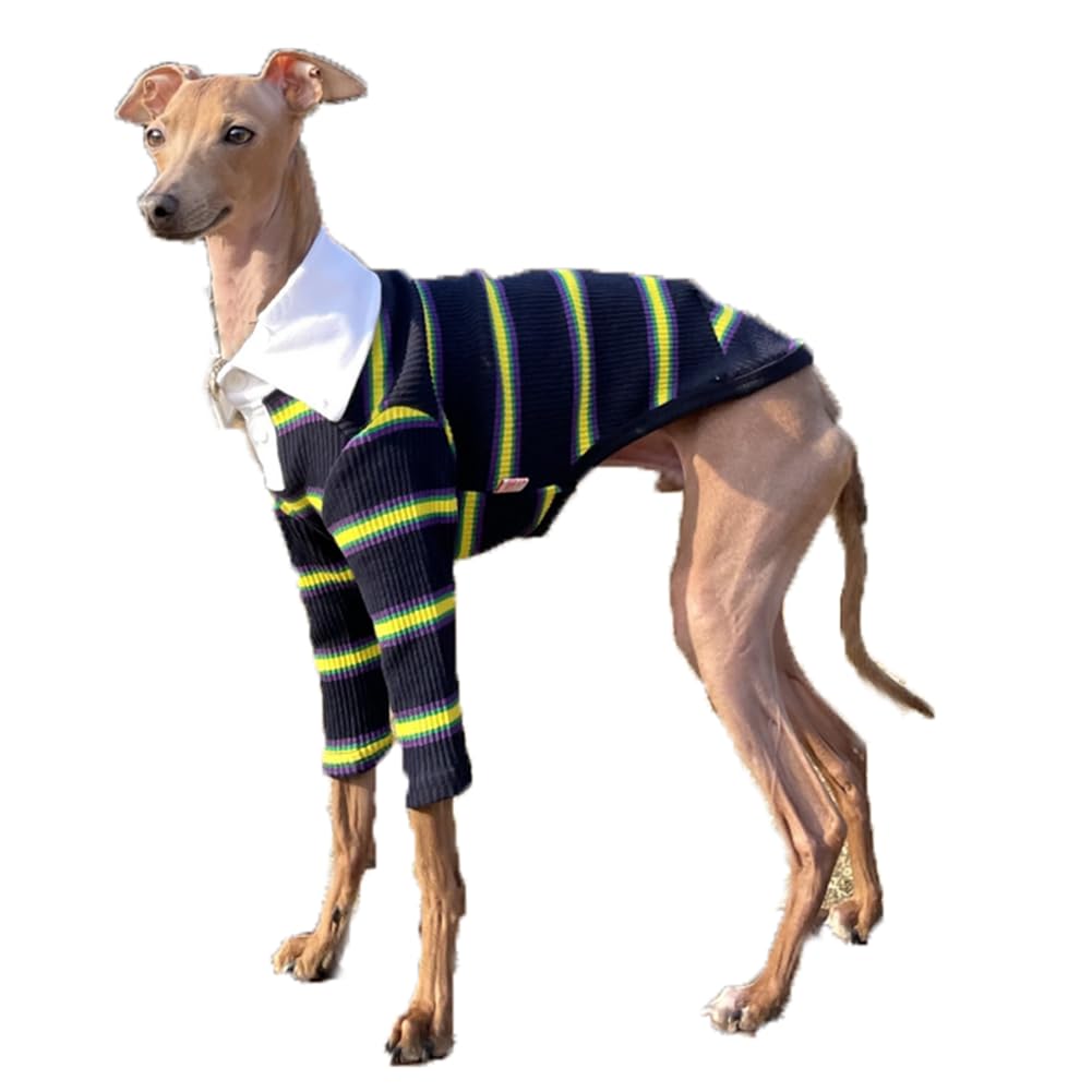 Doggystar vêtement chien col côtelé bleu marine 3XL, confort et aisance lors des promenades.