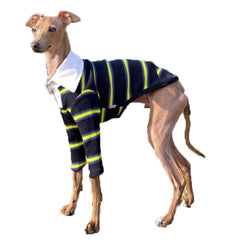 Doggystar vêtement chien col côtelé bleu marine 3XL, confort et aisance lors des promenades.