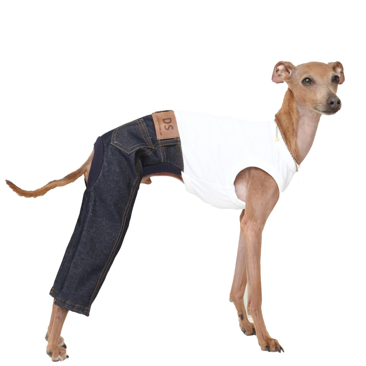 Doggystar vetement sans manches pour lévrier italien en jean bleu, confort et style.