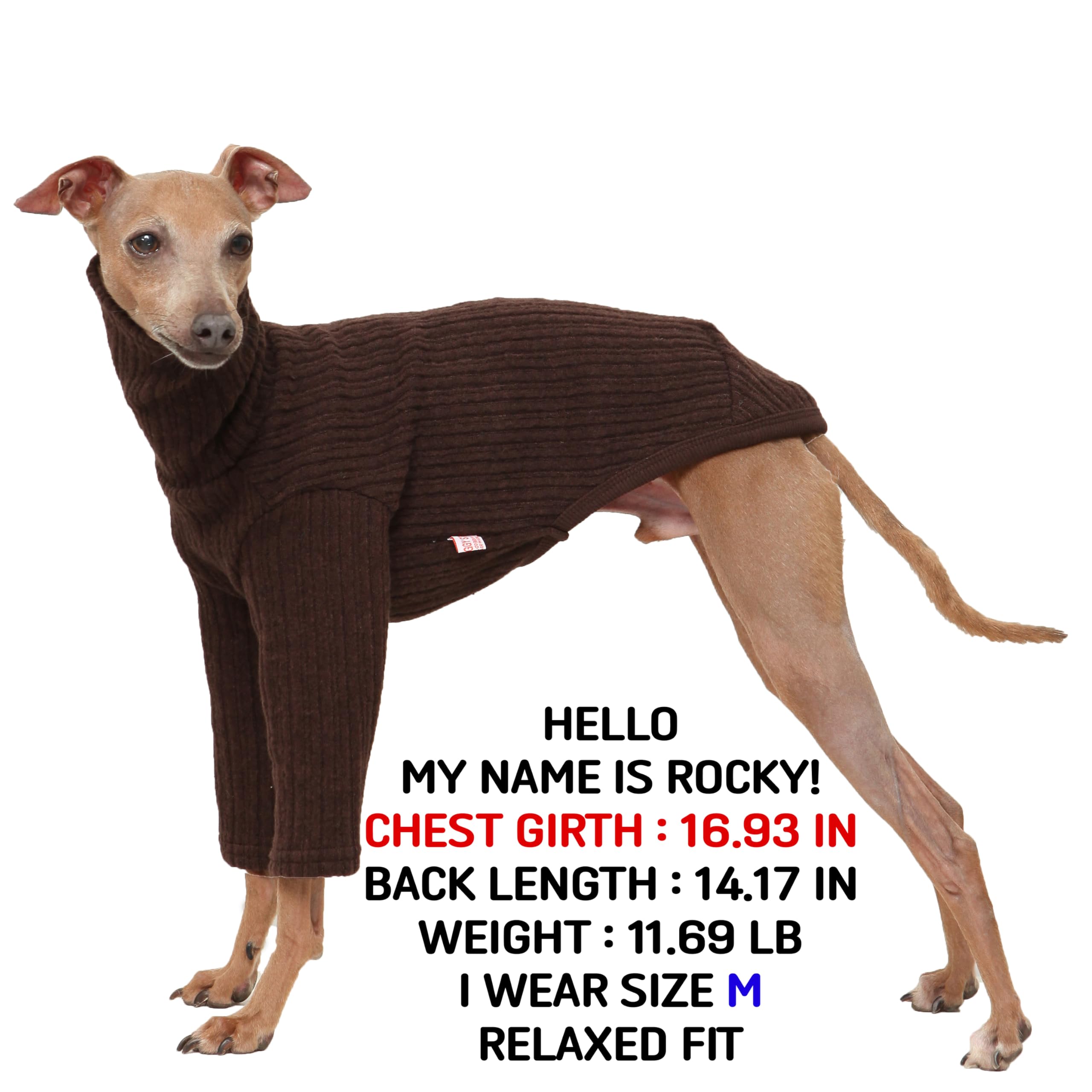 Vêtement Doggystar pour lévrier italien, style moderne et coupe ajustée.