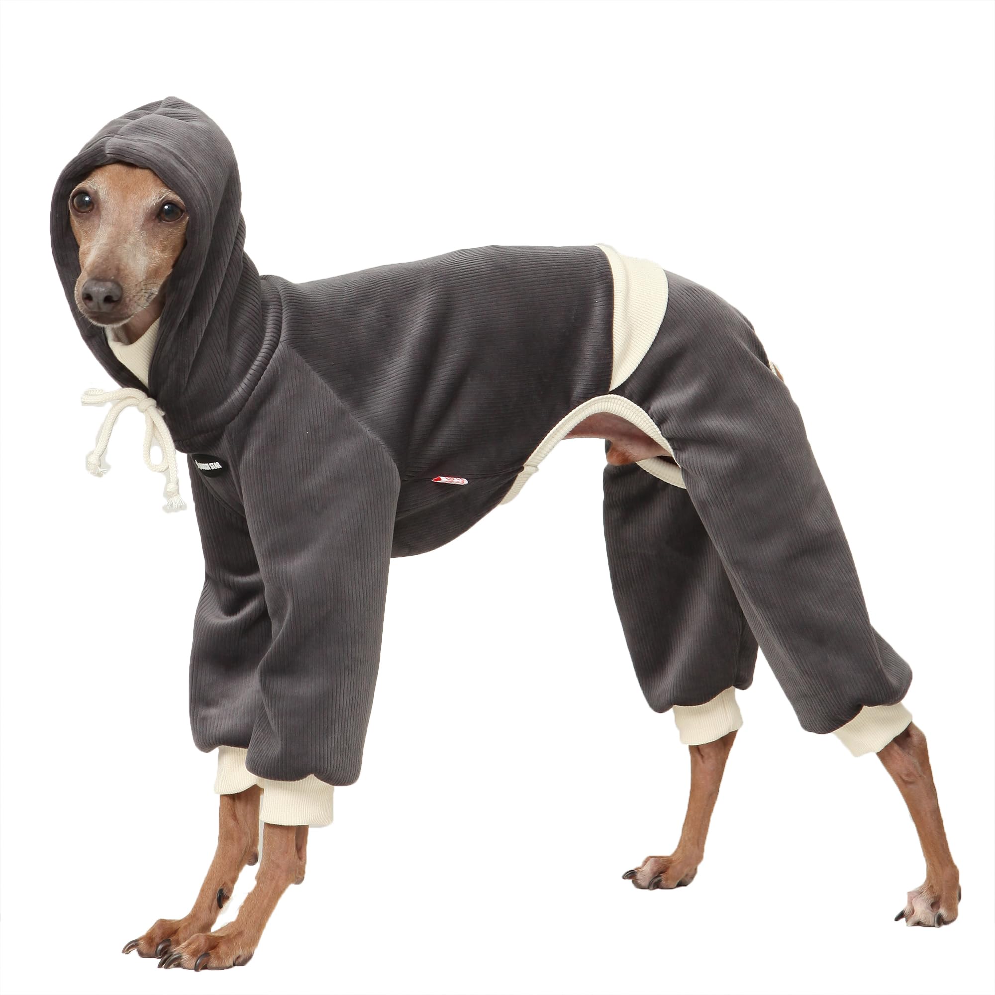 Vêtement doggystar pour Italian Greyhound, corduroy et capuche, confort et souplesse.