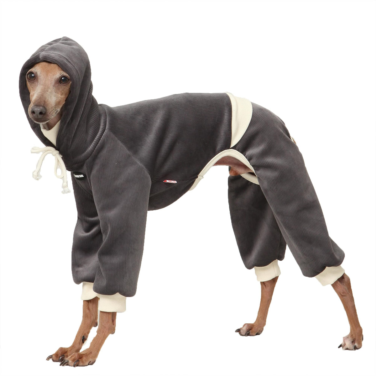 Vêtement doggystar pour Italian Greyhound, corduroy et capuche, confort et souplesse.