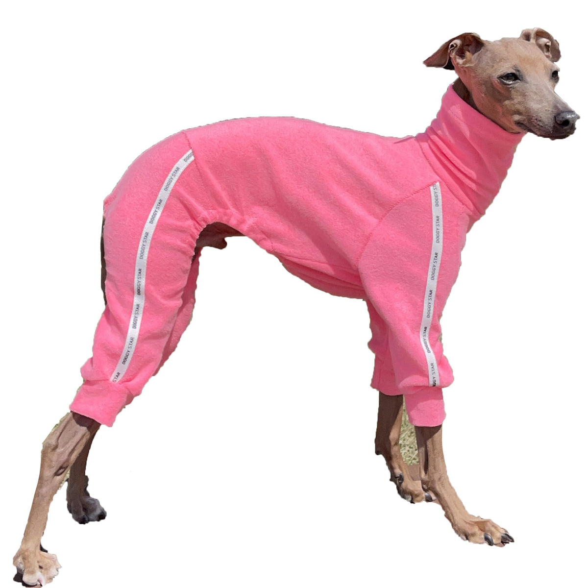 Doggystar vêtement pour lévrier italien en tissu élastique, confort pendant l'exercice.