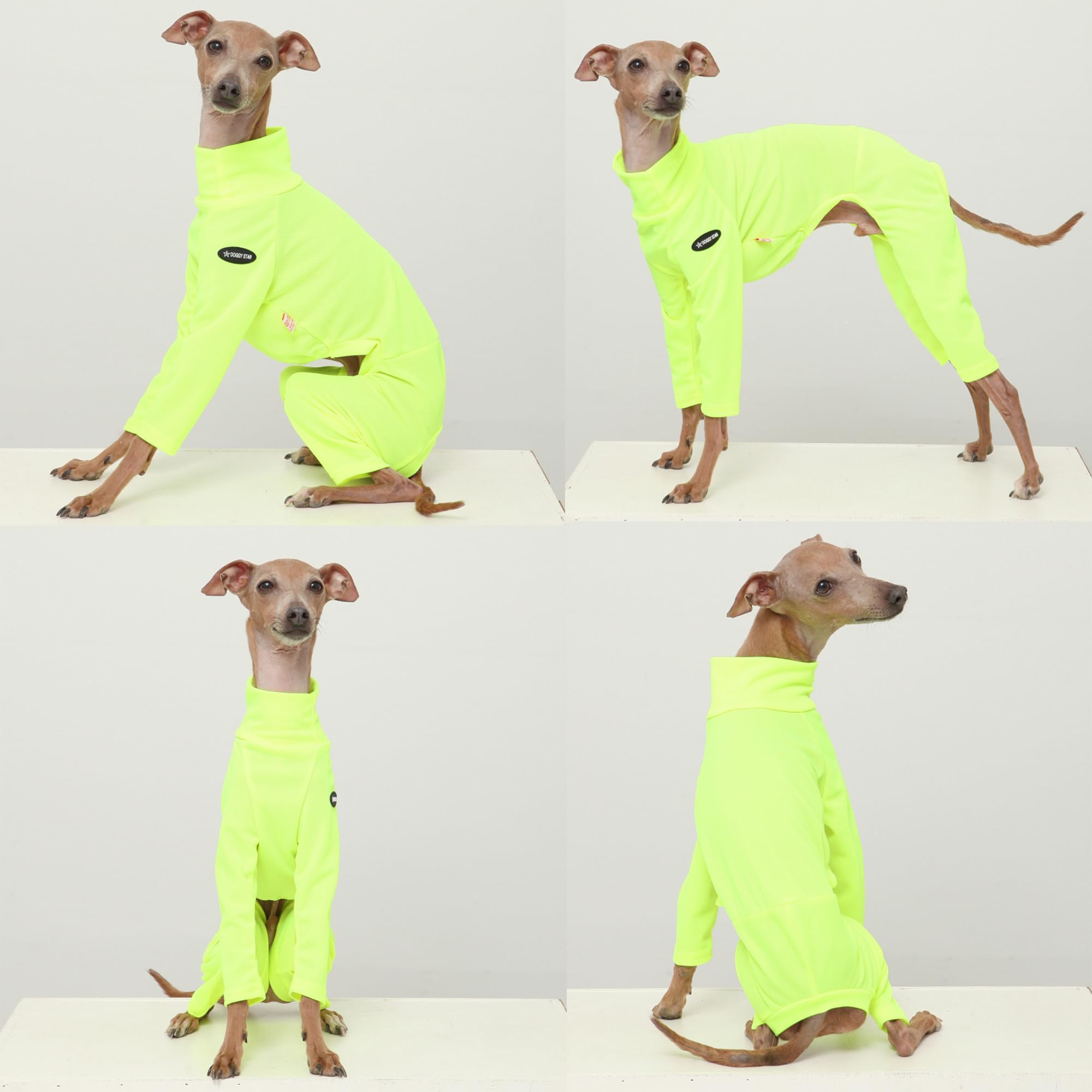 Visibilité nocturne améliorée grâce au néon Doggystar pour des promenades plus sûres.