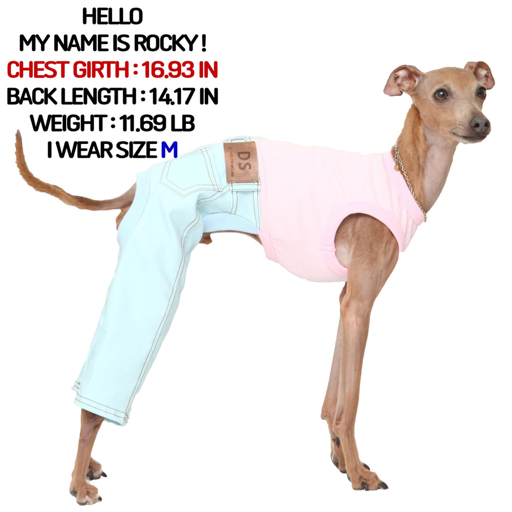 doggystar vue-dos vetement denim pour levrier, look soigné et pratique