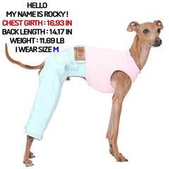 doggystar vue-dos vetement denim pour levrier, look soigné et pratique