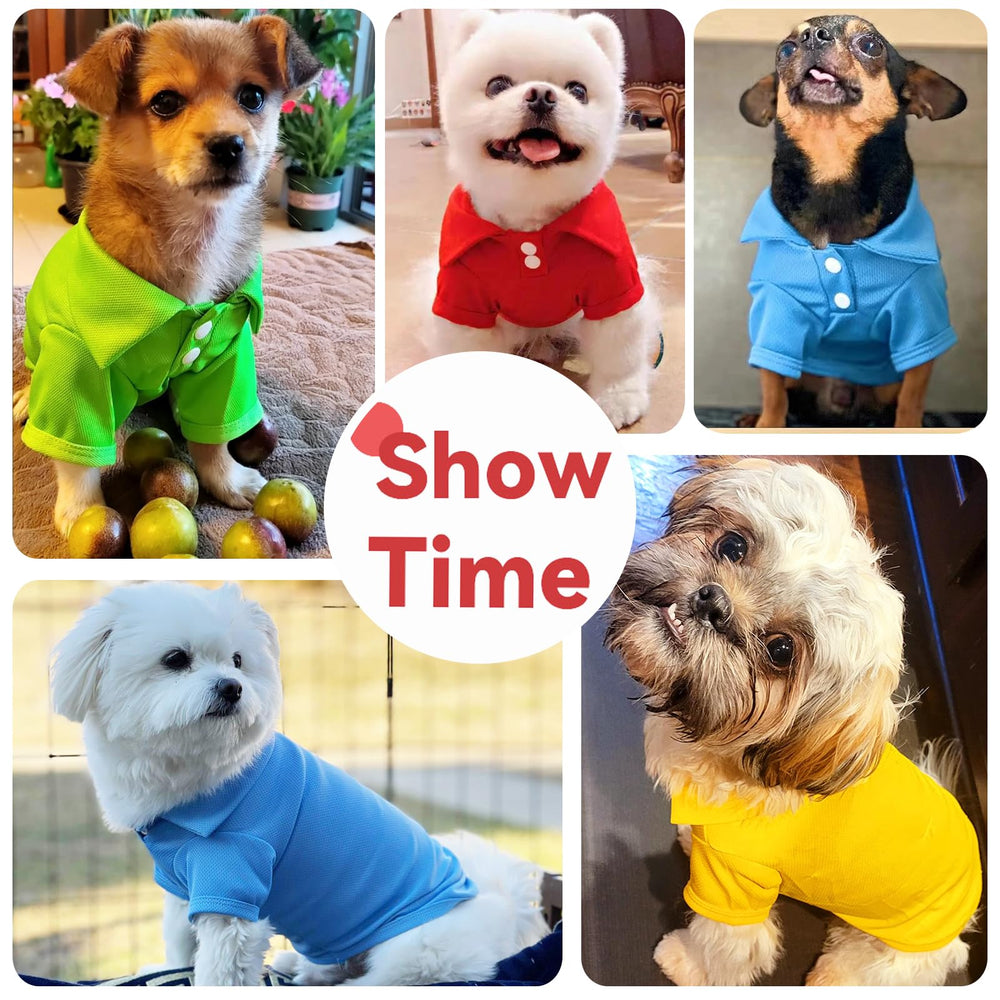 DOGGYZSTYLE guide-tailles-petites, aide à choisir la bonne taille.