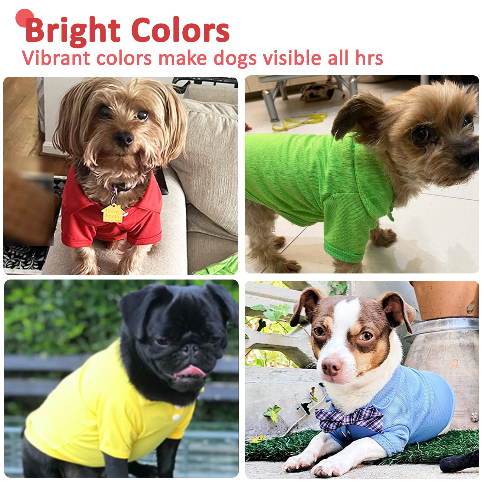 Doggyzstyle polo-tshirt jaune: haute visibilité et tenue adaptée en extérieur