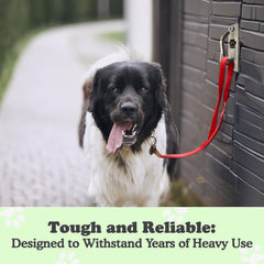Doghook – usage polyvalent pour toiletage, jeux et tâches.