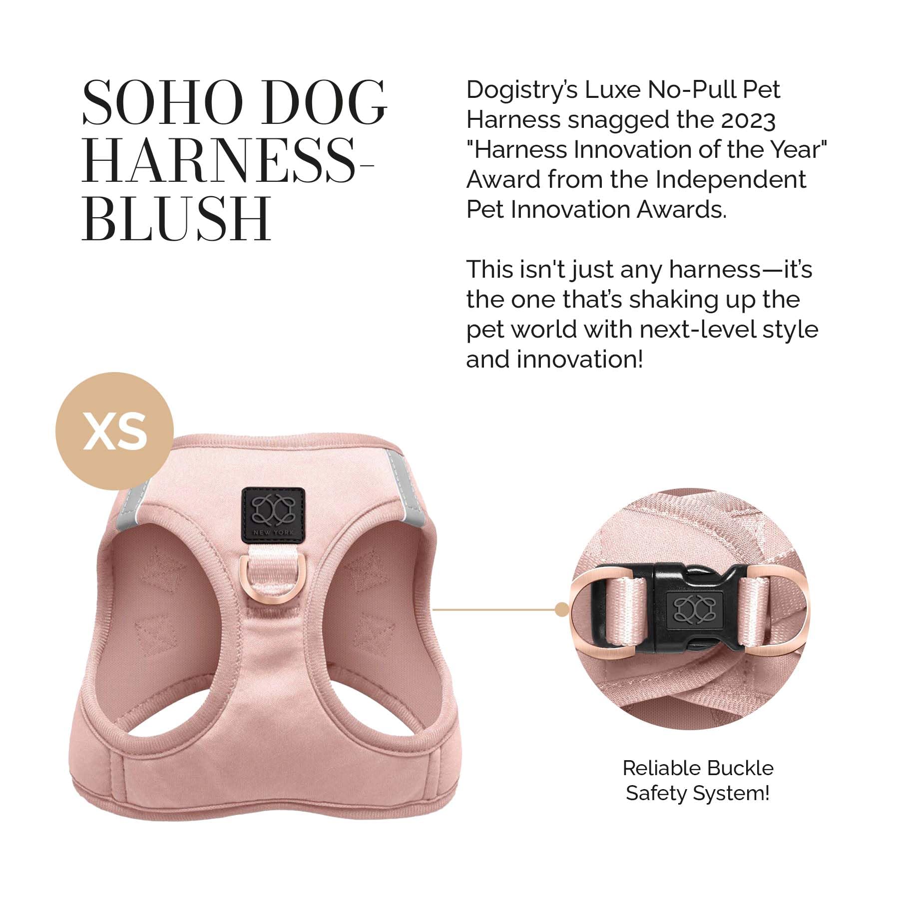Harnais SoHo Dogistry, vue arrière, répartition du poids sécurisée pendant la marche.