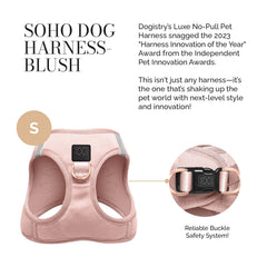 Harnais SoHo de Dogistry avec anneau frontal anti-tirage pour un meilleur contrôle.