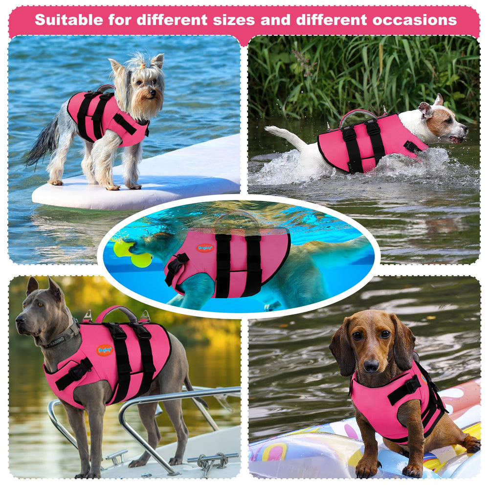 Doglay bandes réfléchissantes pour meilleure visibilité.
