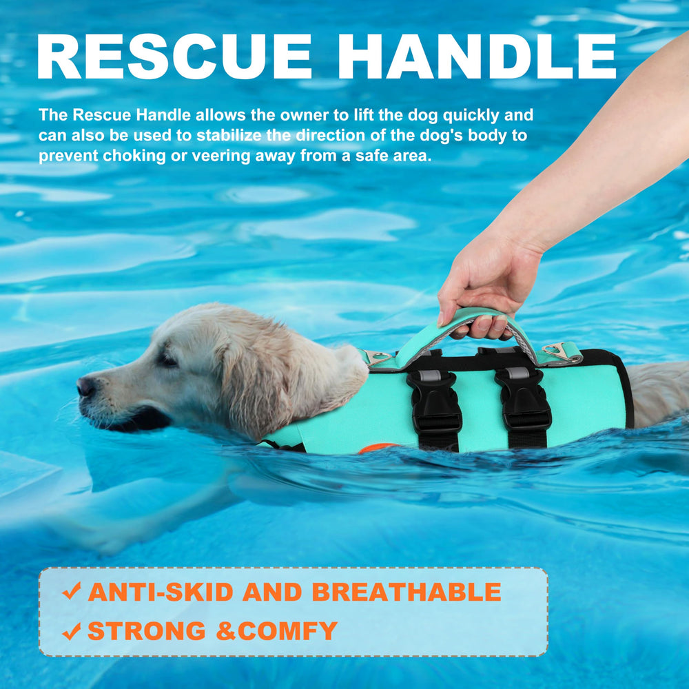 Doglay veste chien, boucles rapides doubles pour un ajustement sûr.