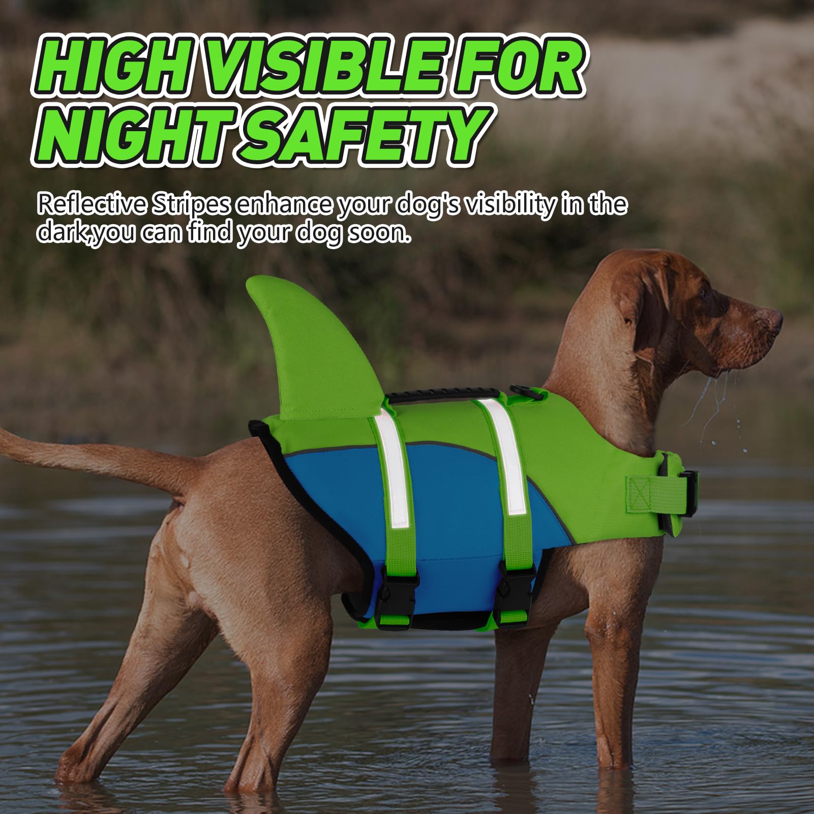 Doglay ceinture reglable gilet: ajustement rapide et sécurité renforcée lors des sorties.