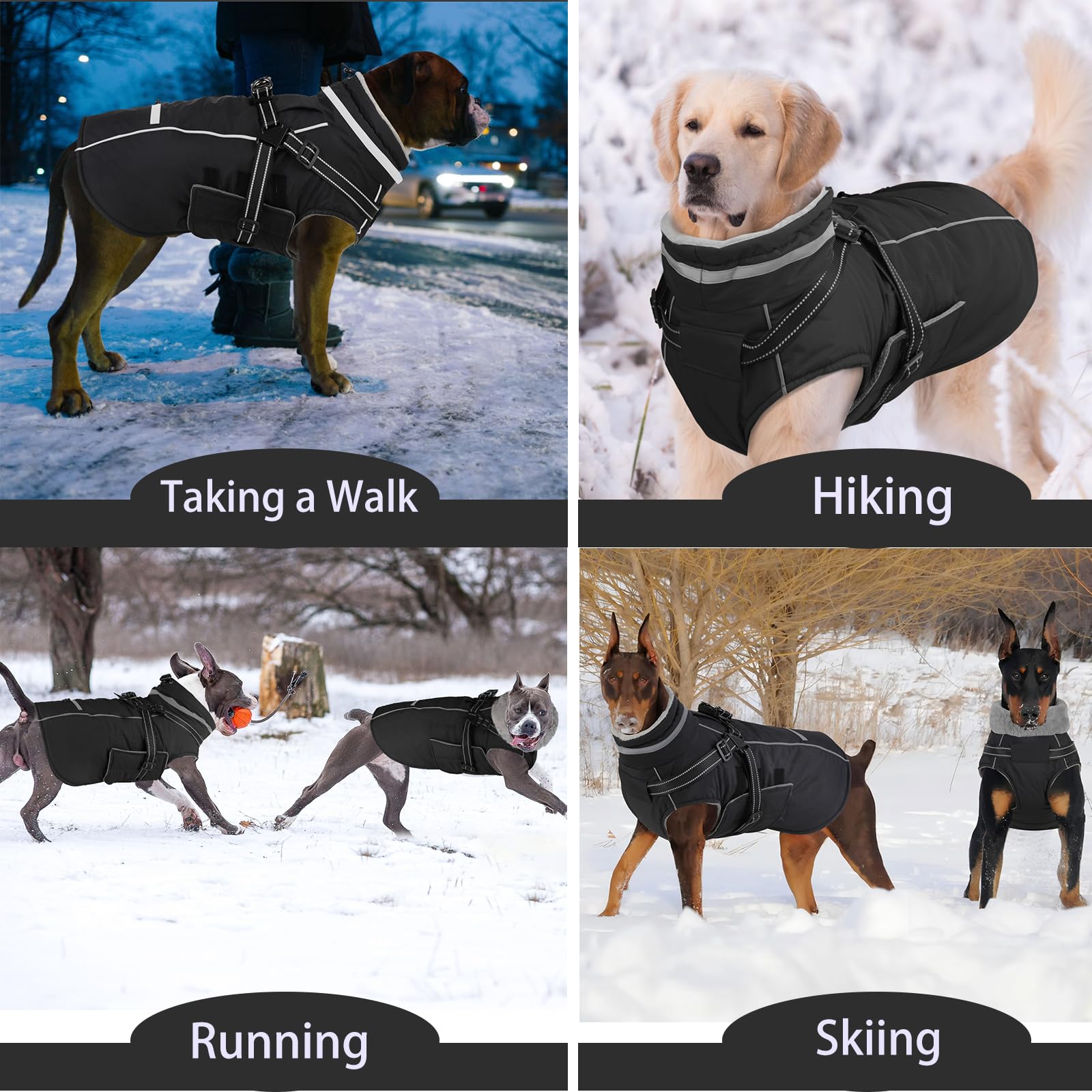 Doglay col en polaire réfléchissant protège le cou et améliore la visibilité nocturne