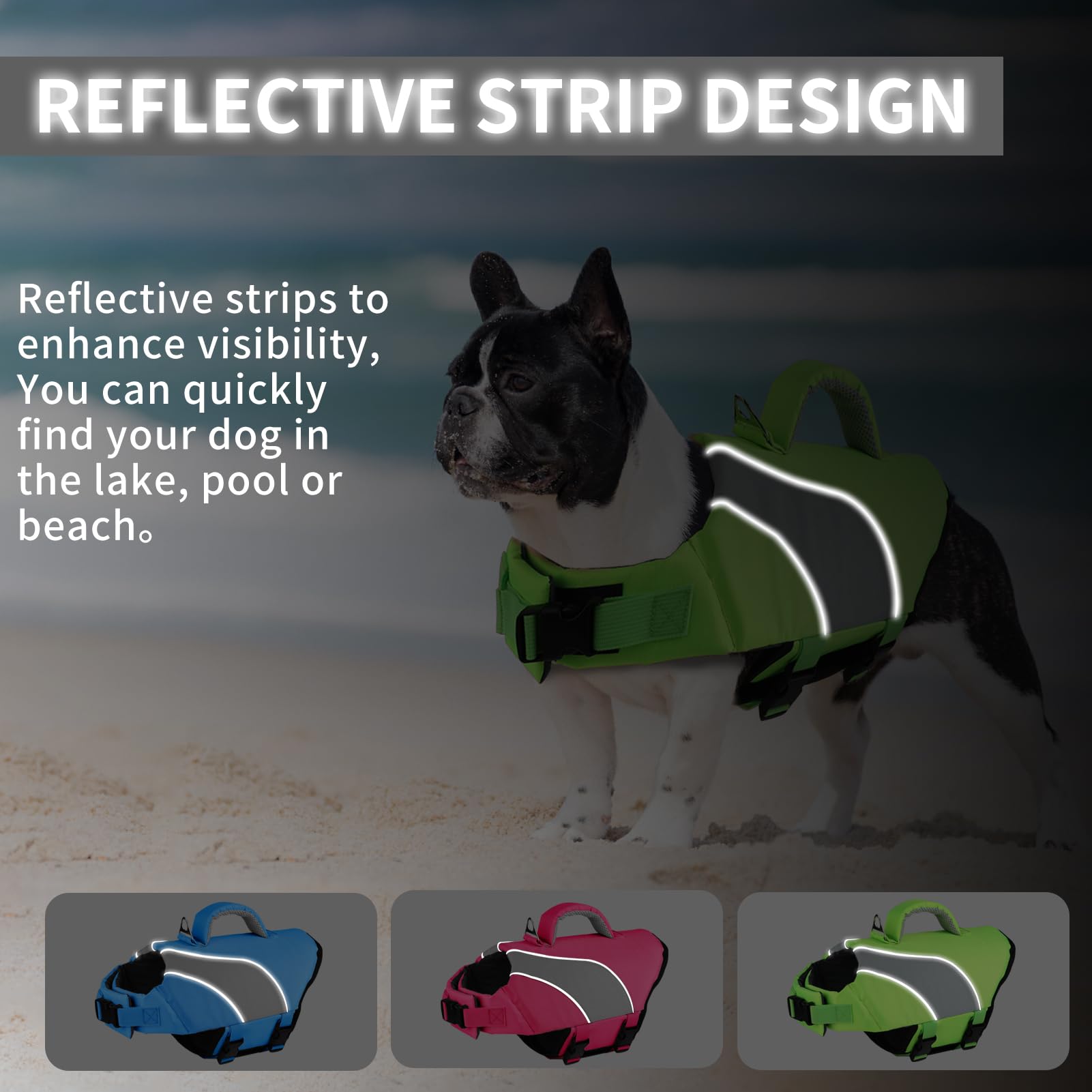 Doglay design-sportif style et performance pour chiens actifs.