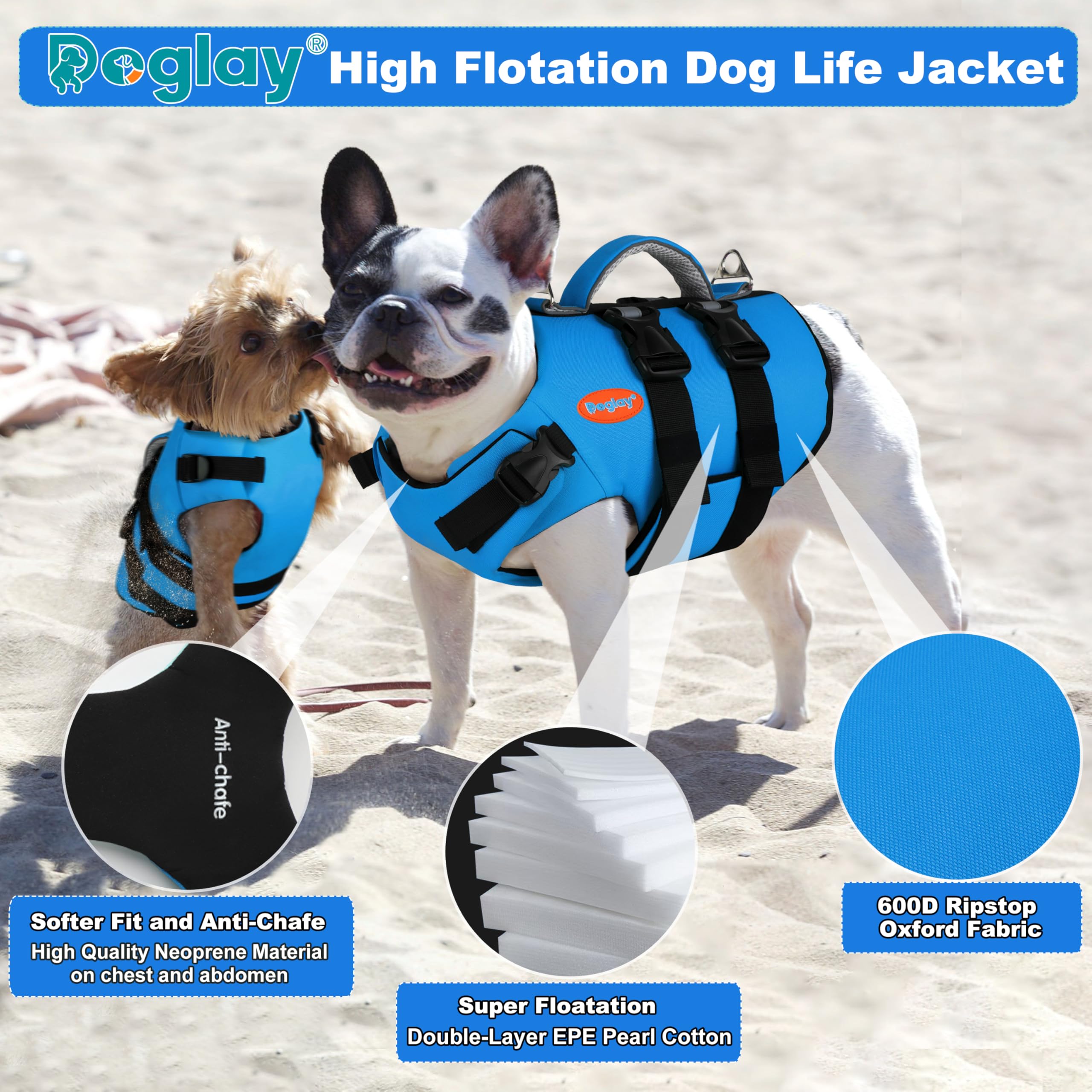 Doglay deux anneaux en D pour laisse et accessoires, polyvalence.