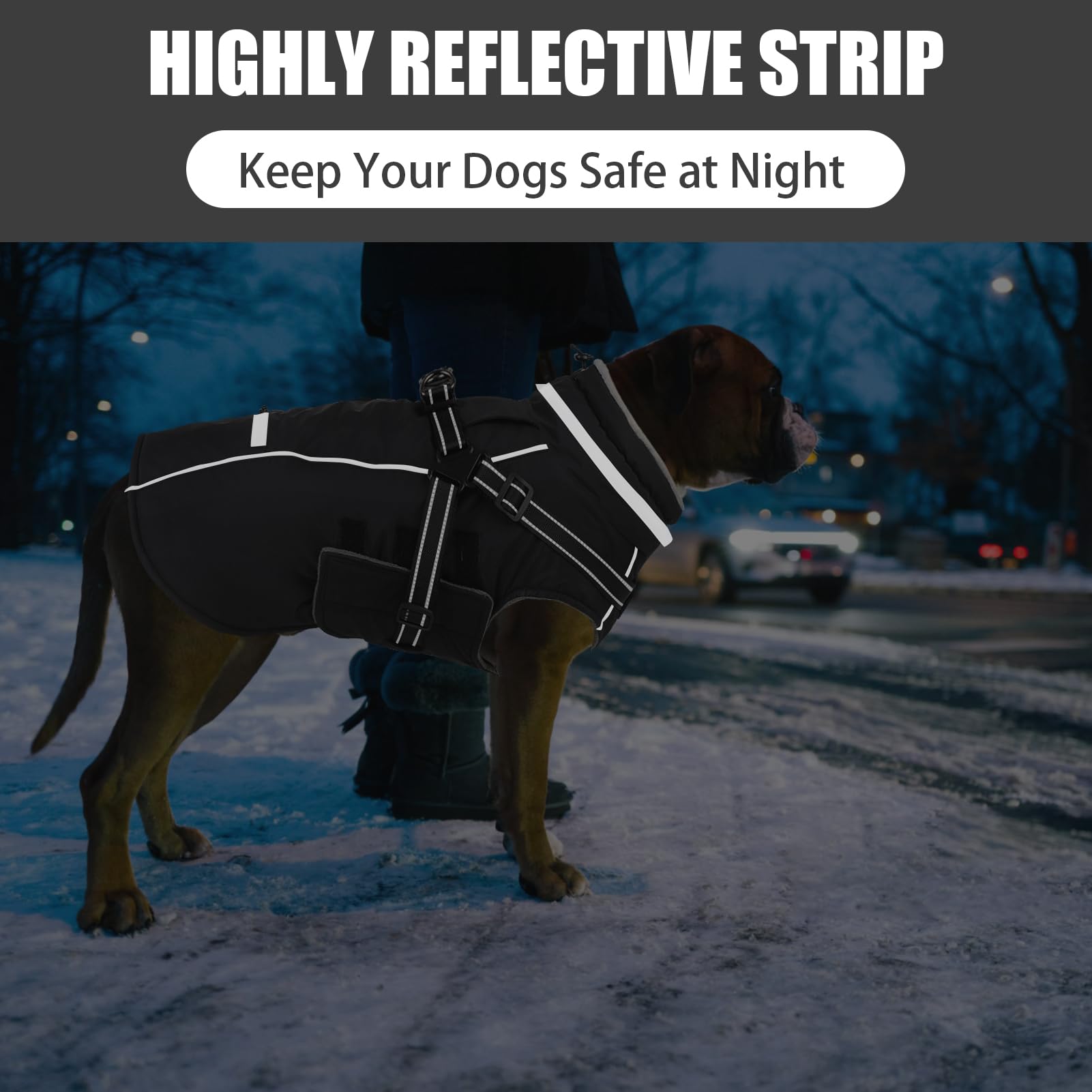 Doglay douceur polaire intérieure offre chaleur et confort pendant les balades