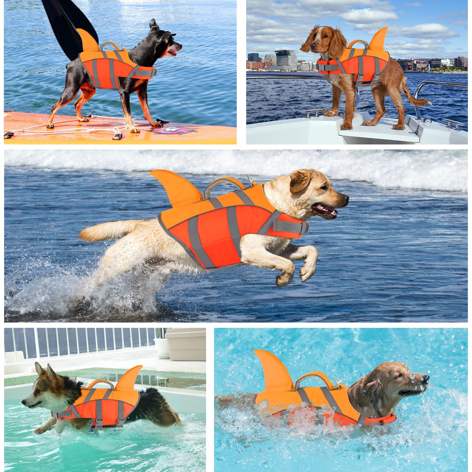 Doglay gilet chien avec anneau d'attache pour laisse.