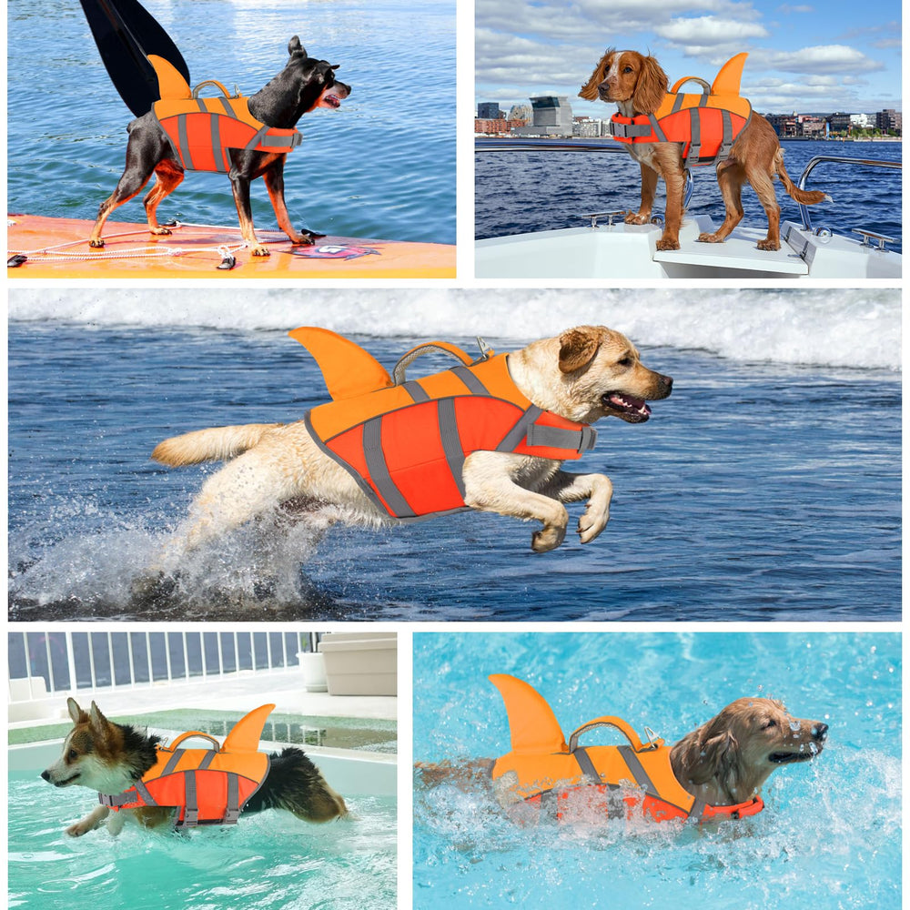 Doglay gilet chien avec anneau d'attache pour laisse.