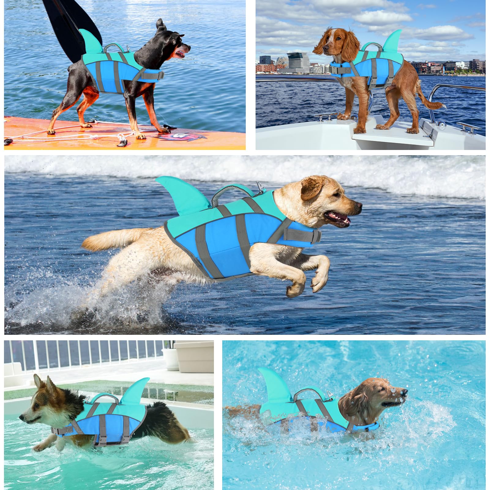 Doglay gilet sauvetage anneau-attache pratique pour la laisse au bord de l’eau.