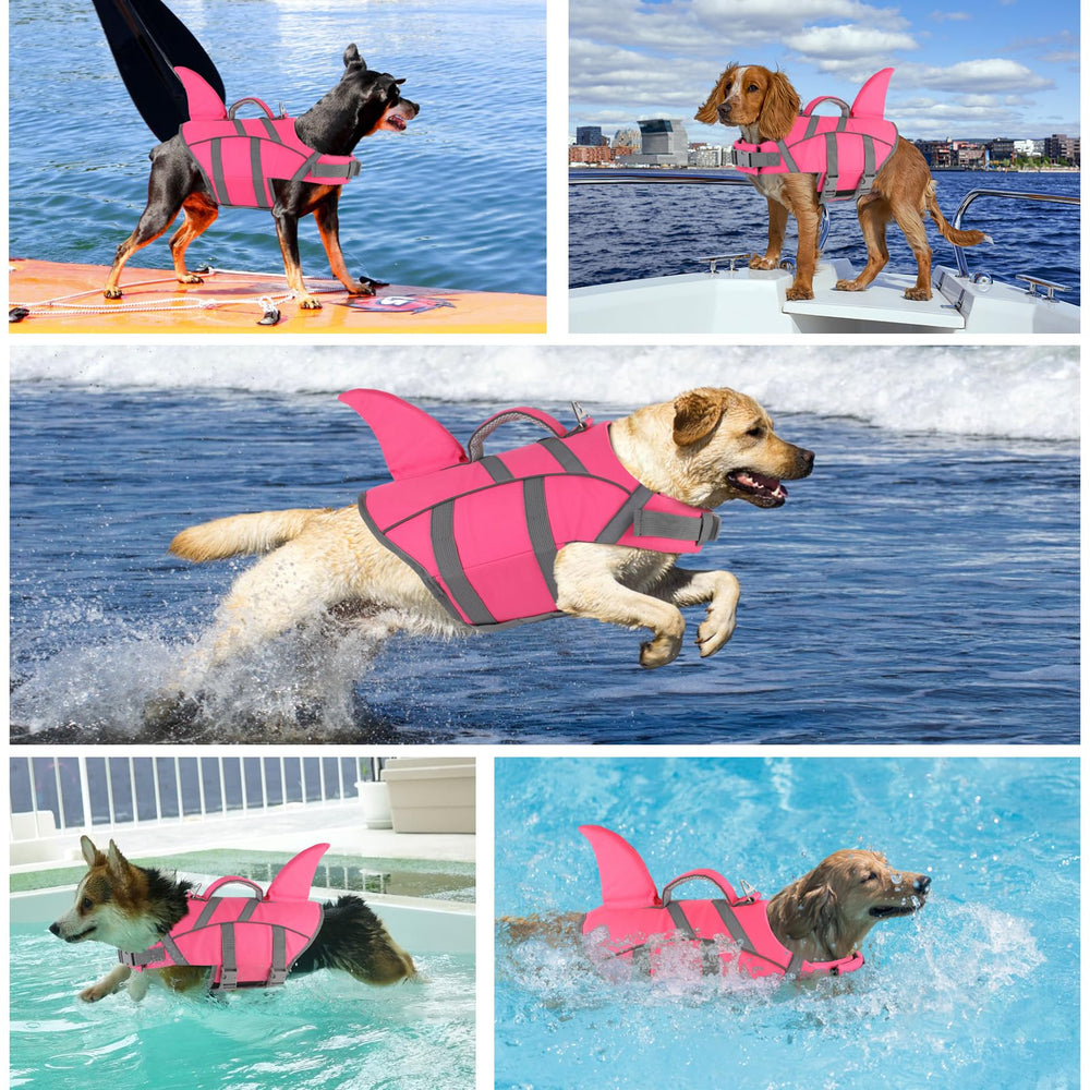 Doglay gilet sauvetage chien, anneau en D pour l'attache de la laisse.