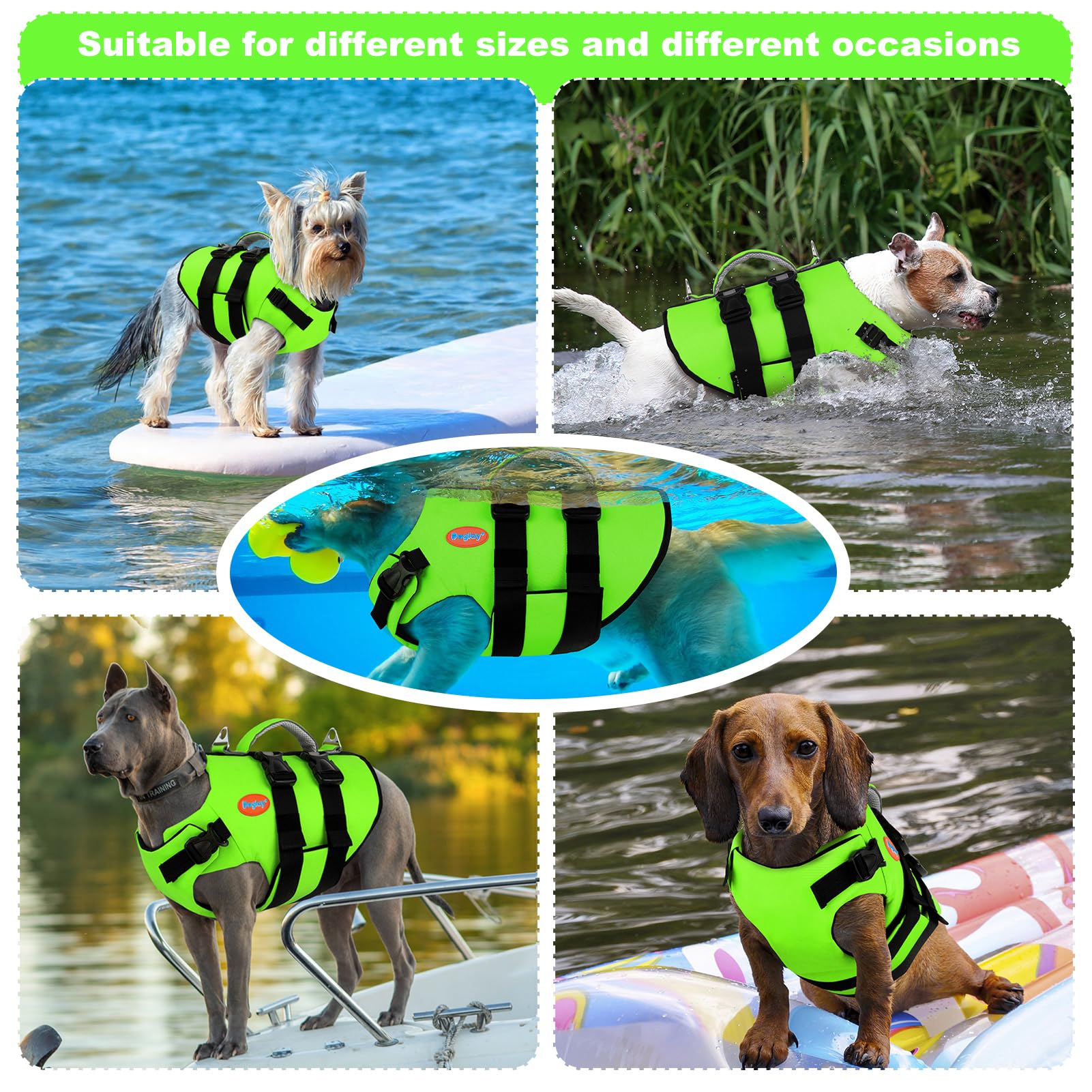 Doglay gilet sauvetage chien dos: visibilité accrue et maintien sécuritaire.