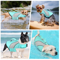 Doglay gilet sauvetage chien, flottaison avancée pour natation plus facile