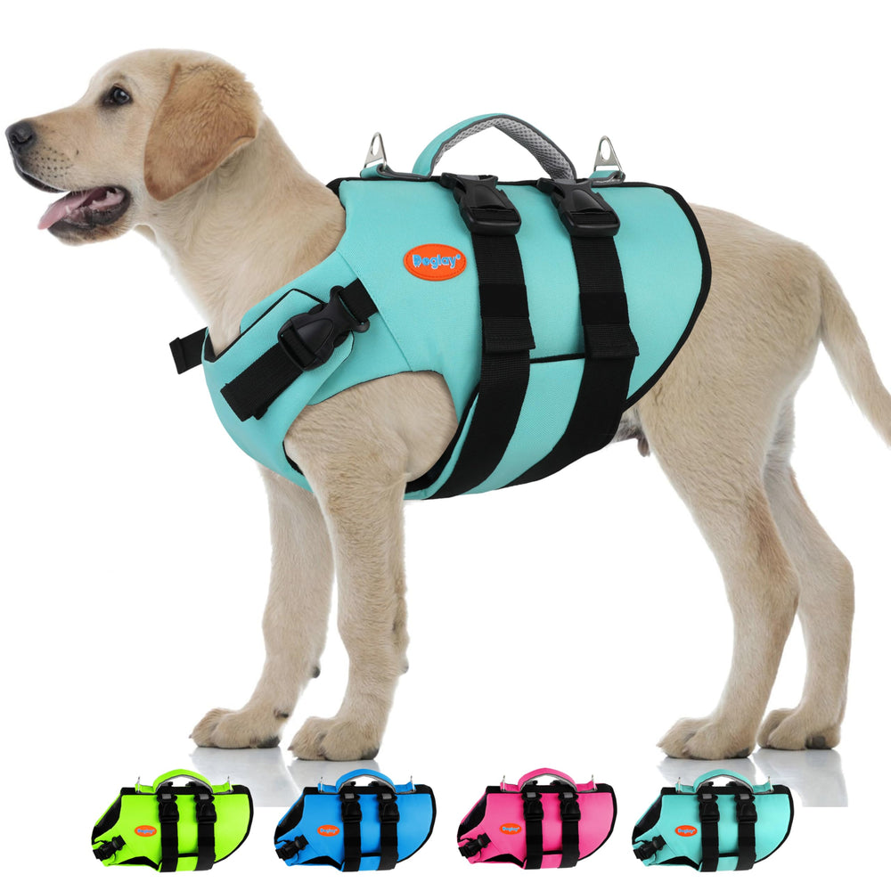 Doglay gilet sauvetage chien en néoprène, flottabilité élevée et confort.