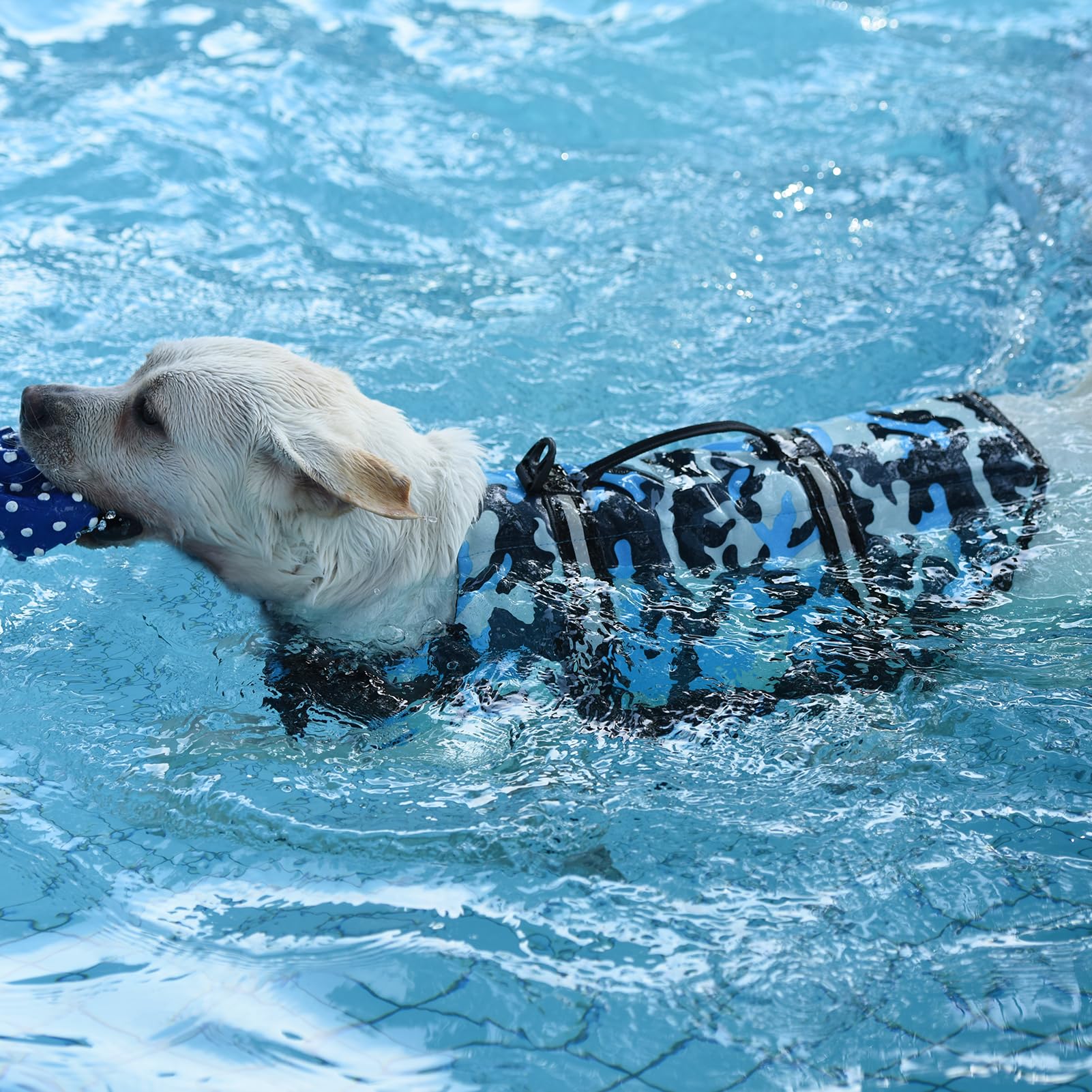 Doglay gilet avec poignée pour sauvetage rapide en eau.