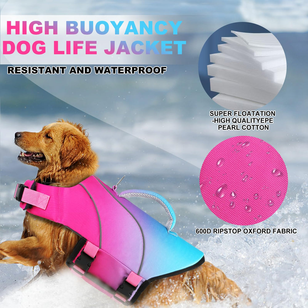 Doglay gilet sauvetage chien usage-eau pour sessions de nage tranquilles.