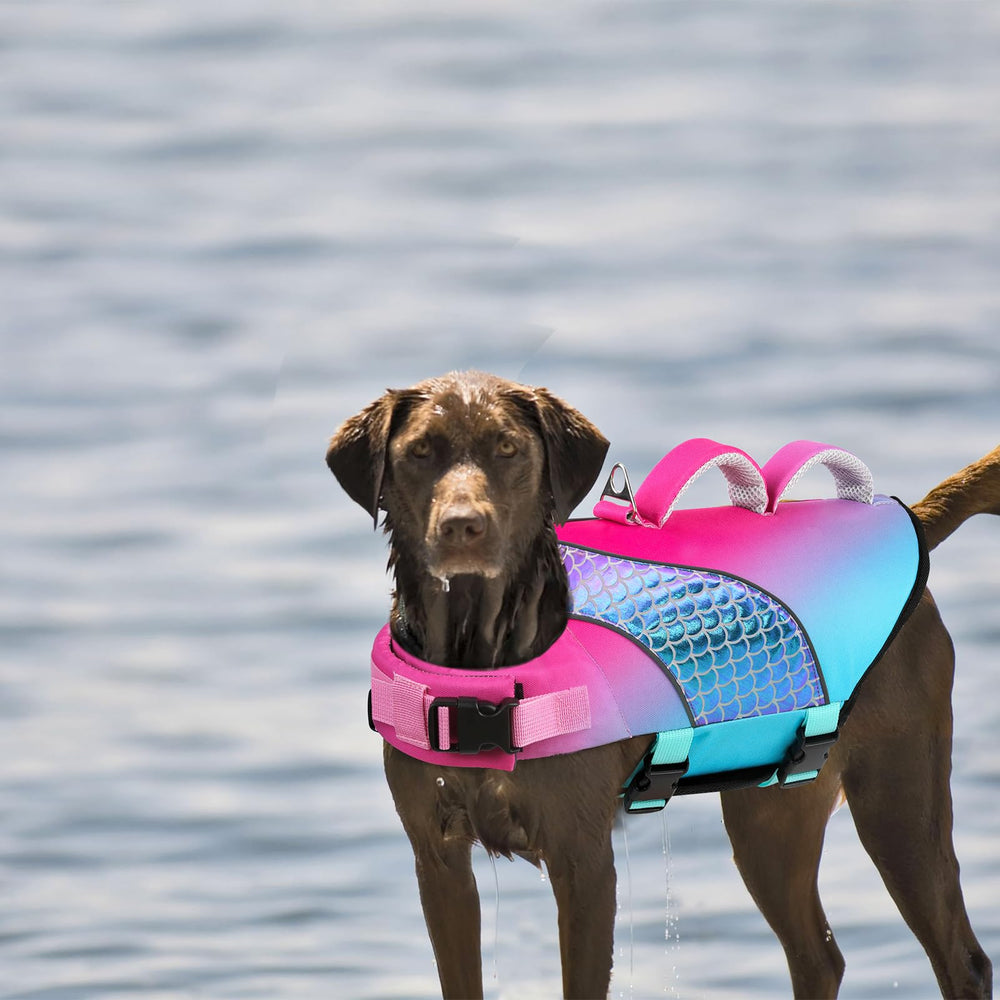 Gilet Doglay usage eau, facile à mettre et à retirer.