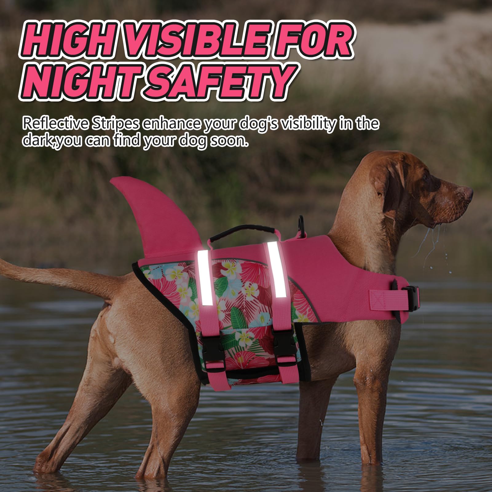 Doglay gilet sauvetage chien près de la plage pour nage sécurisée