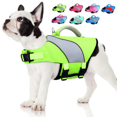Doglay gilet-sauvetage-chien pour natation, sécurité et flottabilité.