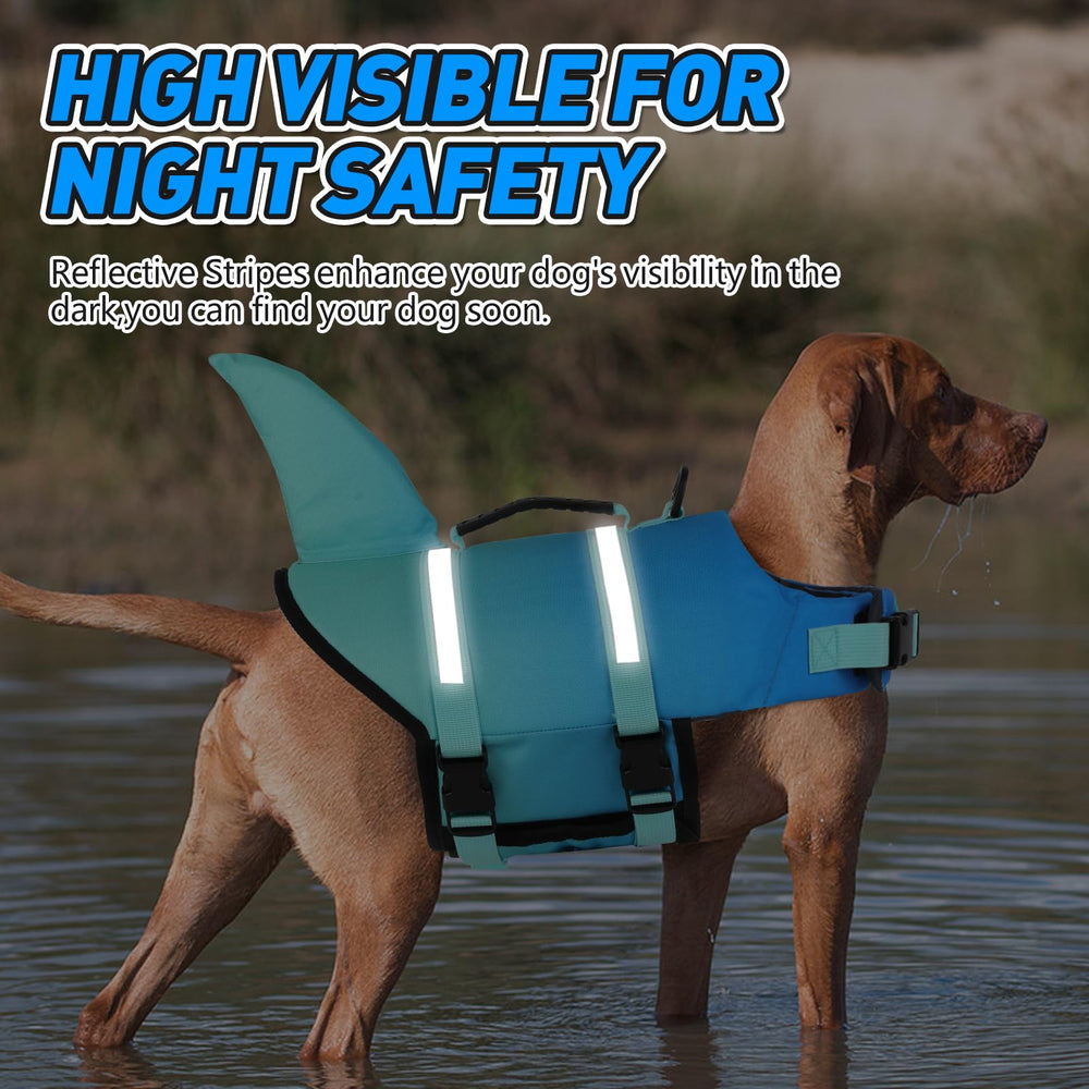 Guide taille Doglay: mesure précise pour un ajustement parfait.