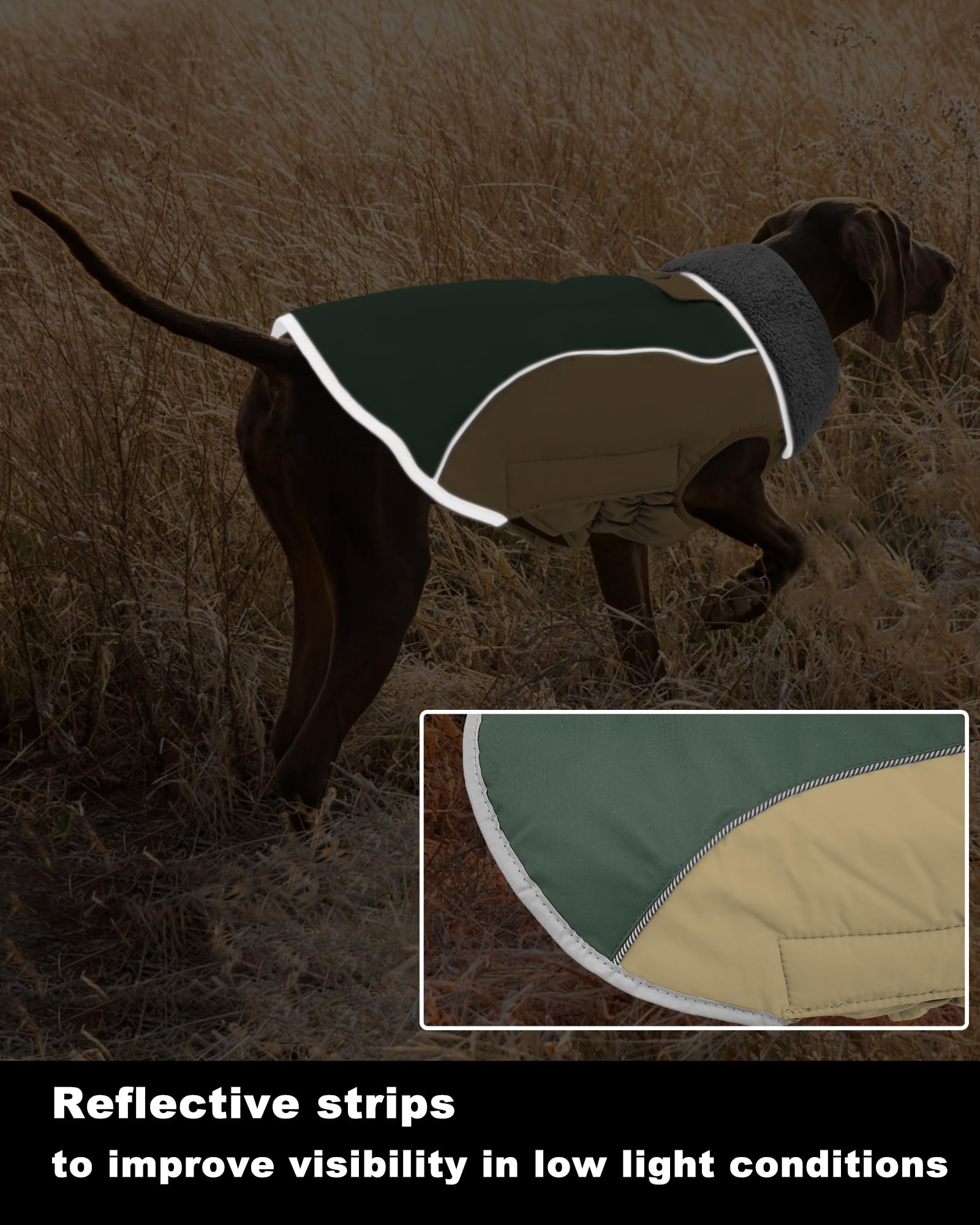 Doglay manteau chien fermeture facile à enfiler, gain de temps.