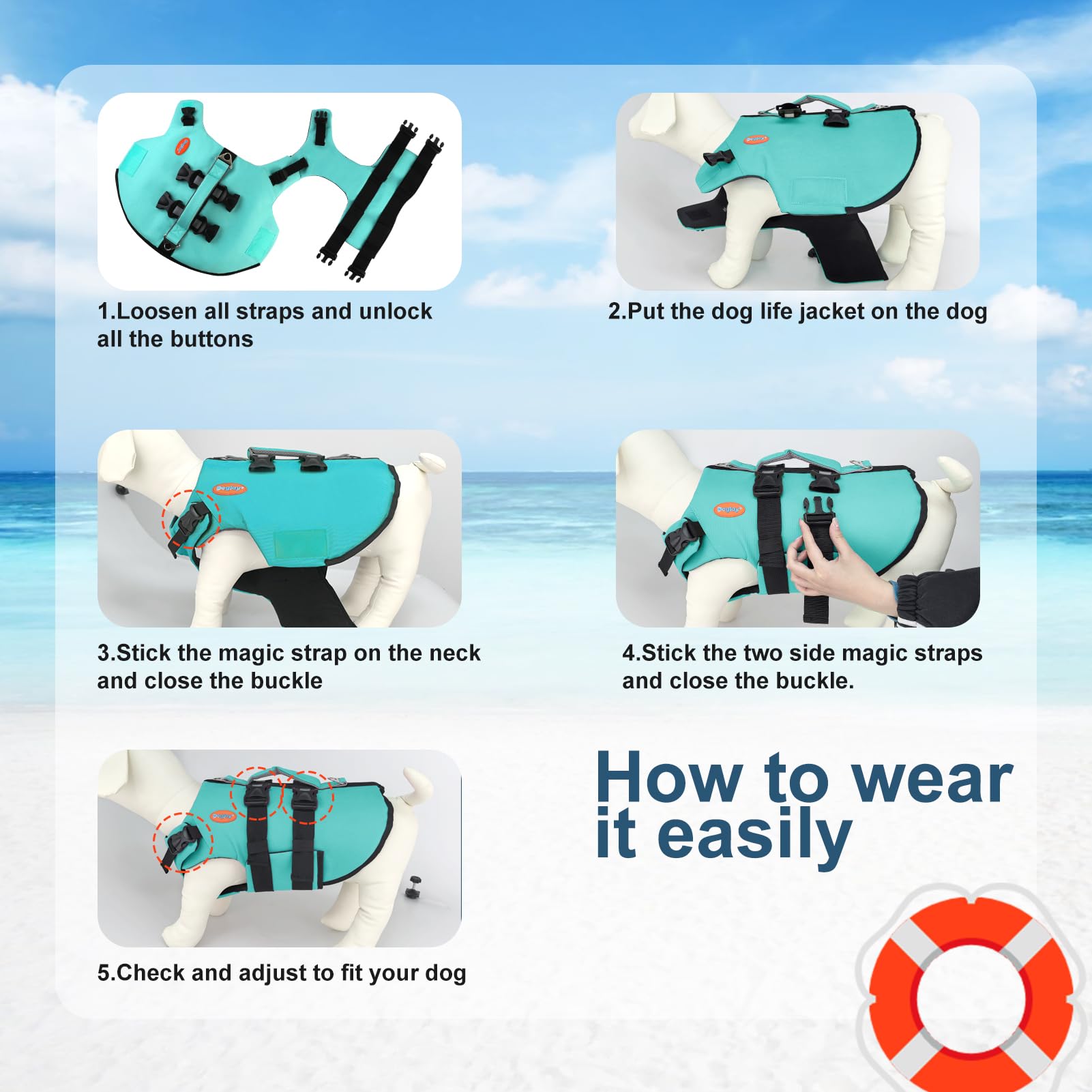 Doglay utilisation eau et loisirs: natation, plage, bateau en sécurité.