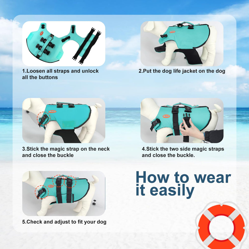 Doglay utilisation eau et loisirs: natation, plage, bateau en sécurité.