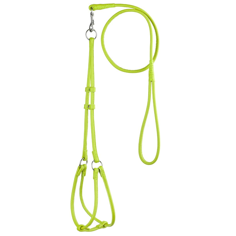 Harnais Dogline en cuir véritable doux sur chien, confort et sécurité visibles.