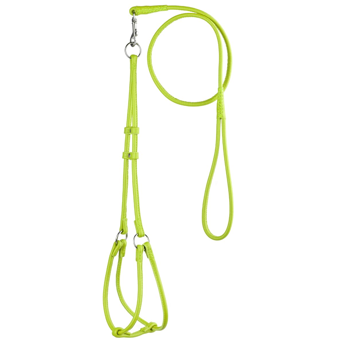 Harnais Dogline en cuir véritable doux sur chien, confort et sécurité visibles.