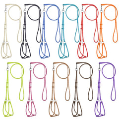 Laisse Dogline de 36 pouces, longueur idéale pour des promenades détendues.