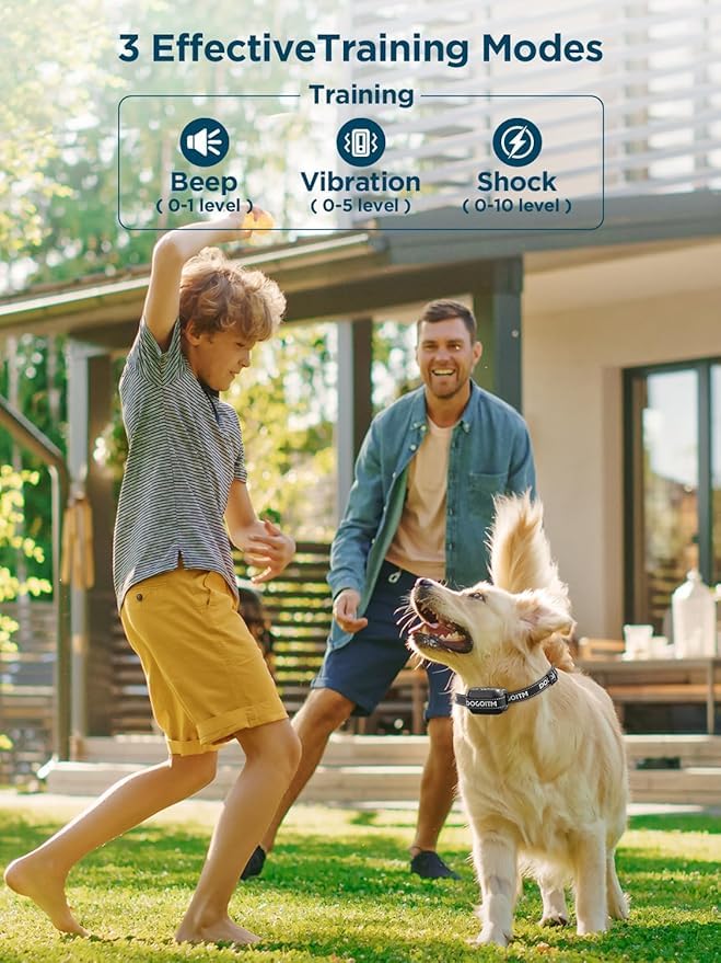 DOGOITM batterie-rechargeable-ipx6: autonomie longue et usage par tout temps.