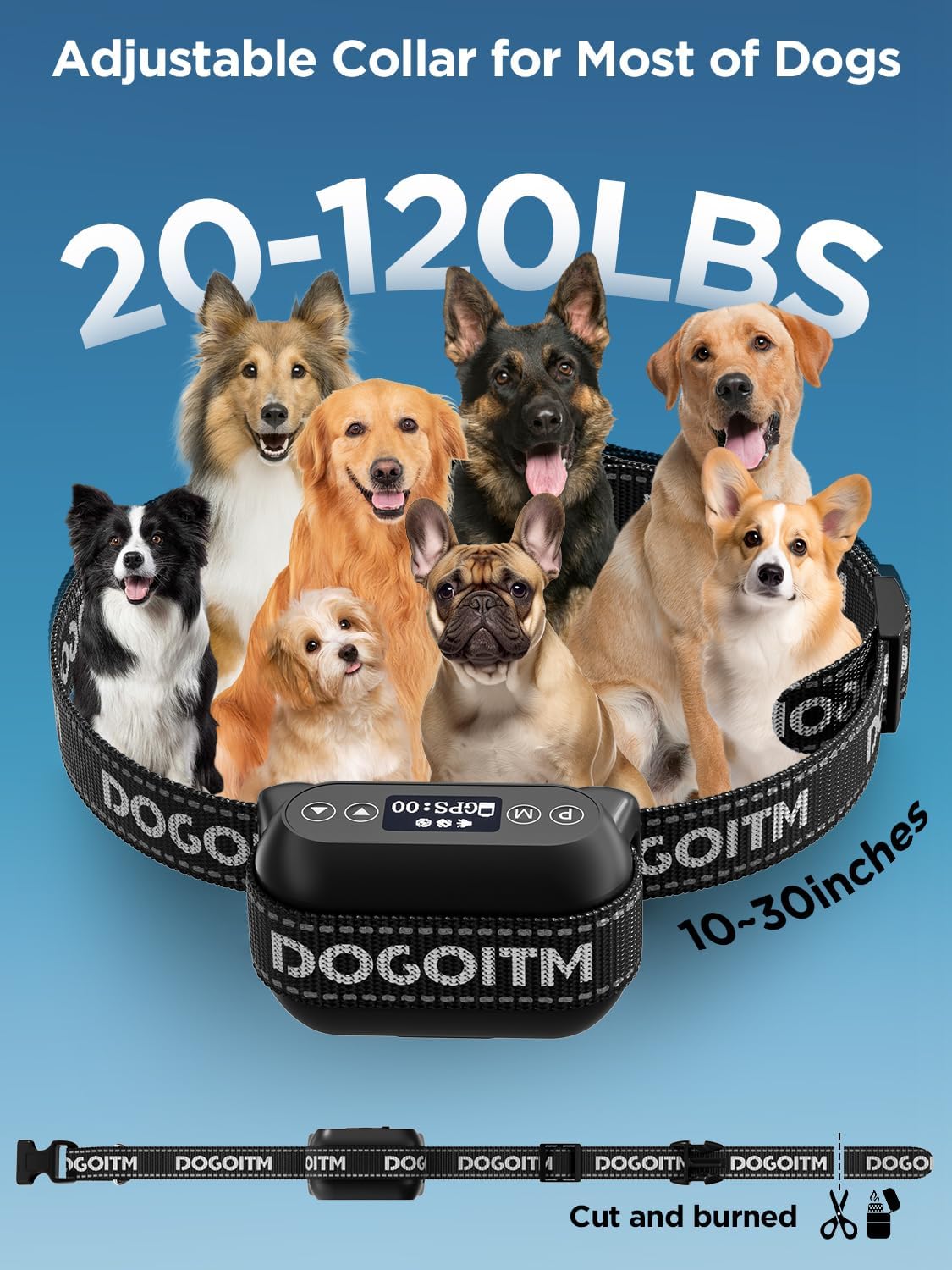 Collier DOGOITM discret adapté à des chiens de 9 à 54 kg.