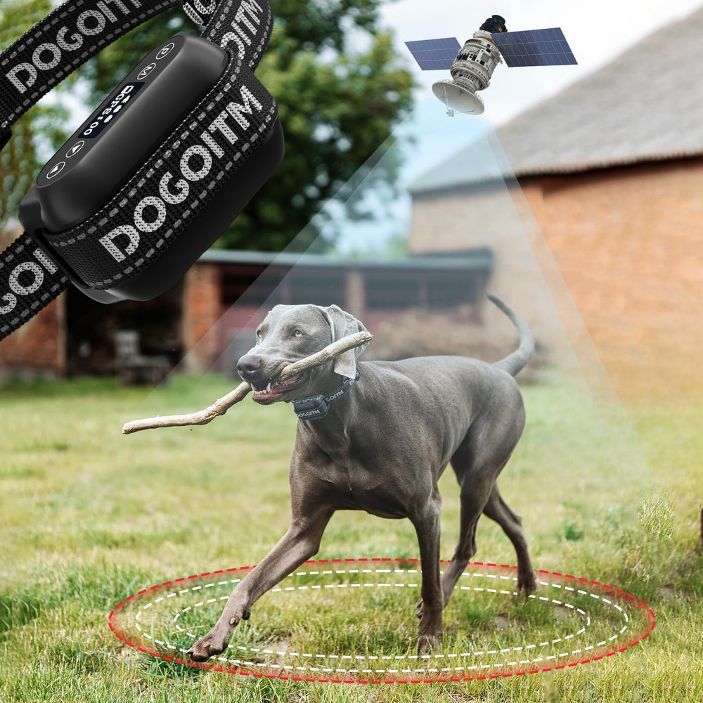 DOGOITM GPS, collier: délimitation précise pour les jeux extérieurs.