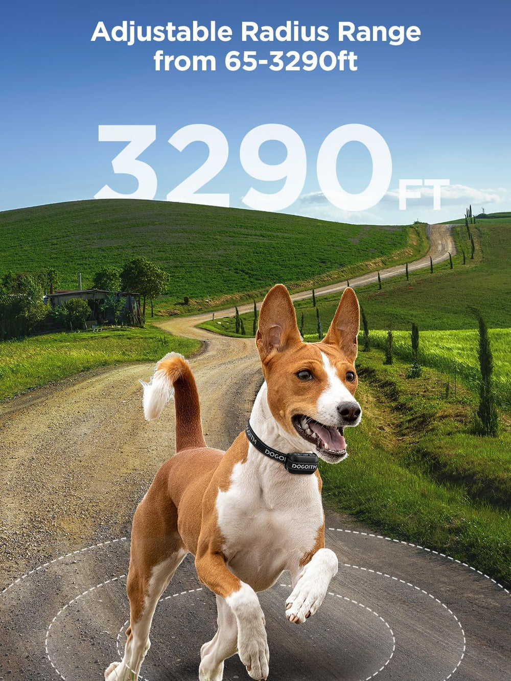 Mode avertissement DOGOITM bip, vibration et choc pour guider.